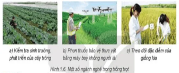 Quan sát Hình 1.6 và cho biết các ảnh trong hình minh họa Kham Pha Trang 11 Cong Nghe Lop 7 Ket Noi