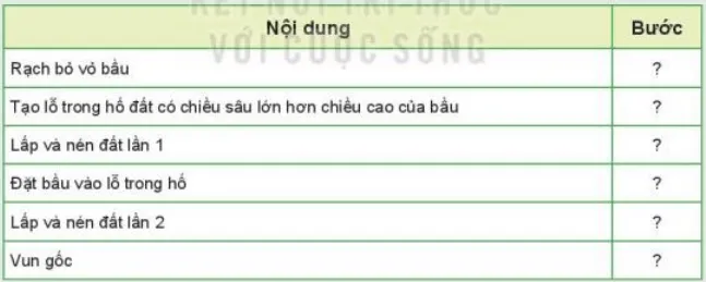 Quan sát Hình 8.1 và xác định các bước theo quy trình trồng rừng Kham Pha Trang 34 Cong Nghe Lop 7 Ket Noi 1