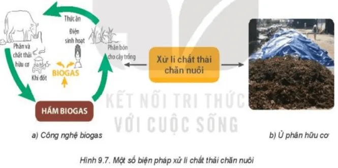 Quan sát Hình 9.7 và nêu những biện pháp phổ biến trong xử lí Kham Pha Trang 45 Cong Nghe Lop 7 Ket Noi