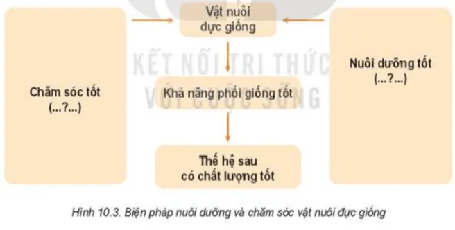 Đọc nội dung mục III kết hợp quan sát Hình 10.3, nêu ý nghĩa Kham Pha Trang 48 Cong Nghe Lop 7 Ket Noi 1
