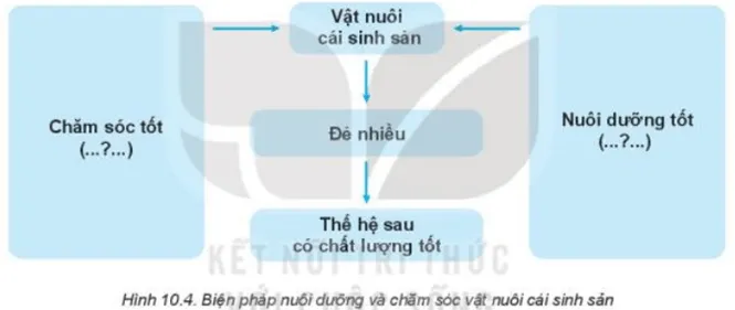 Đọc nội dung mục IV kết hợp quan sát Hình 10.4, nêu ý nghĩa Kham Pha Trang 50 Cong Nghe Lop 7 Ket Noi