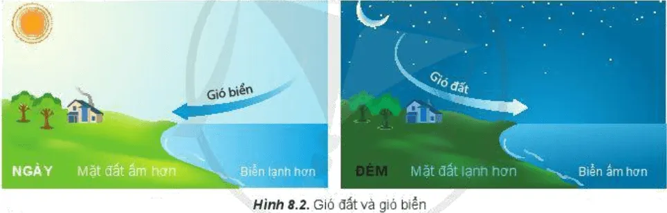 Đọc thông tin và quan sát hình 8.2, hãy trình bày sự hình thành Cau Hoi Trang 31 Dia Li 10 1