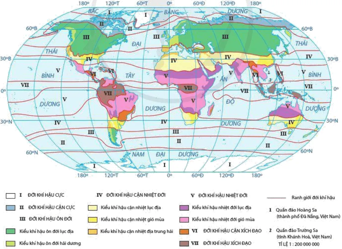 Quan sát hình 9.1, hãy kể tên các đới khí hậu chính trên Trái Đất Cau Hoi Trang 36 Dia Li 10 135495