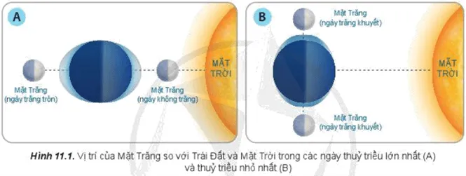 Đọc thông tin và quan sát hình 11.1, hãy giải thích hiện tượng thuỷ triều Cau Hoi Trang 43 Dia Li 10 1