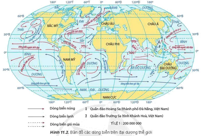 Đọc thông tin và quan sát hình 11.2, hãy trình bày sự chuyển động của dòng biển trên các đại dương Cau Hoi Trang 44 Dia Li 10