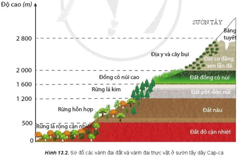 Dựa vào hình 13.2 và kiến thức đã học, hãy nhận xét và giải thích Cau Hoi Trang 50 Dia Li 10 135500