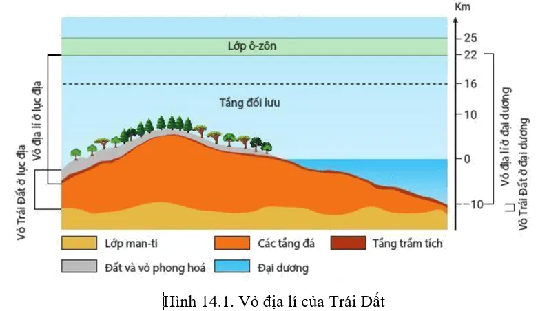 Đọc thông tin và quan sát hình 14.1, hãy phân biệt vỏ địa lí với vỏ Trái Đất Cau Hoi Trang 52 Dia Li 10 135503