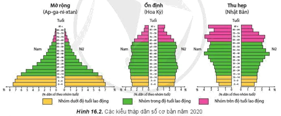 Đọc thông tin và quan sát hình 16.2, hãy Cho biết cơ cấu sinh học bao gồm những loại cơ cấu nào Cau Hoi Trang 60 Dia Li 10 141439