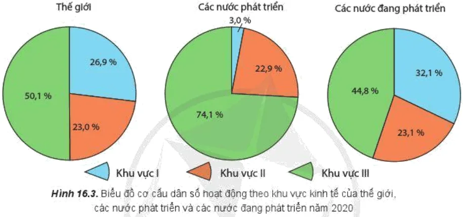 Đọc thông tin và quan sát hình 16.3, hãy Phân biệt các loại cơ cấu xã hội của dân số Cau Hoi Trang 61 Dia Li 10 141440