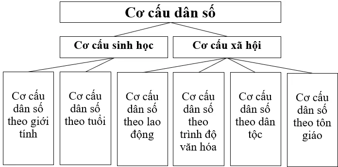 Hãy vẽ sơ đồ thể hiện các loại cơ cấu dân số Luyen Tap 1 Trang 61 Dia Li 10 141437