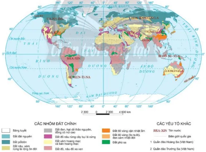 Nhận xét đặc điểm phân bố của các nhóm đất và các kiểu thảm thực vật chính theo vĩ độ Cau Hoi Trang 67 Dia Li 10