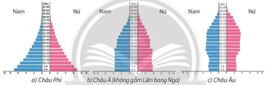 Dựa vào hình 22 và kiến thức đã học, em hãy so sánh tháp dân số của châu Phi Cau Hoi Trang 88 Dia Li 10