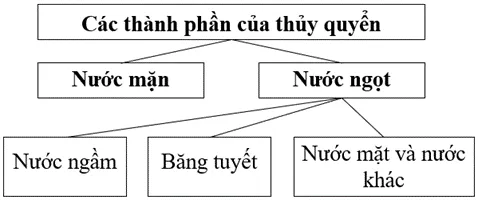 Em hãy vẽ sơ đồ thể hiện các thành phần của thủy quyển Luyen Tap 1 Trang 56 Dia Li 10