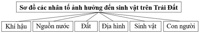 Lập sơ đồ thể hiện các nhân tố ảnh hưởng đến sự phát triển và phân bố của sinh vật Luyen Tap 1 Trang 66 Dia Li 10