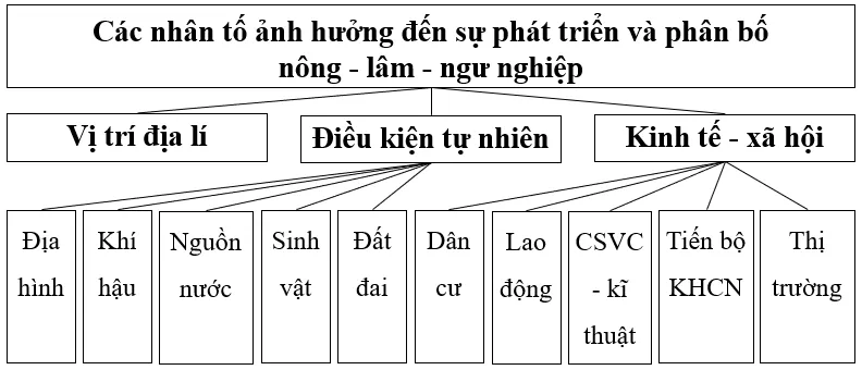 Vẽ sơ đồ thể hiện các nhân tố ảnh hưởng tới sự phát triển và phân bố Luyen Tap Trang 97 Dia Li 10