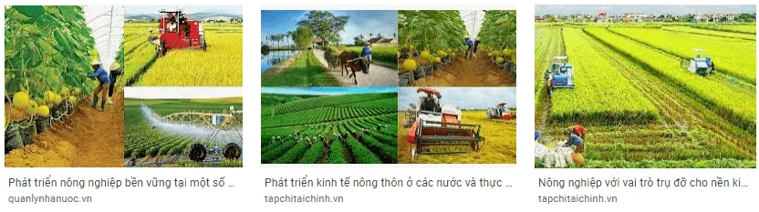 Sưu tầm thông tin về vai trò của ngành nông nghiệp đối với sự phát triển kinh tế - xã hội Van Dung Trang 97 Dia Li 10