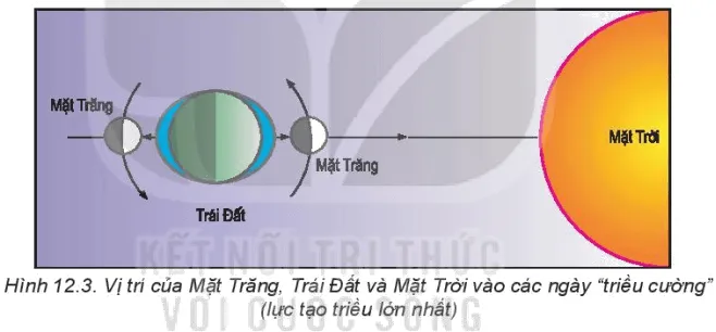Dựa vào thông tin trong mục b và các hình 12.3, 12.4, hãy Giải thích hiện tượng thuỷ triều Bai 12 Nuoc Bien Va Dai Duong 131896