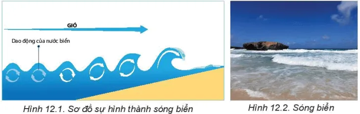 Dựa vào thông tin trong mục a và hình 12.1, 12.2, hãy giải thích hiện tượng sóng biển Bai 12 Nuoc Bien Va Dai Duong 131897