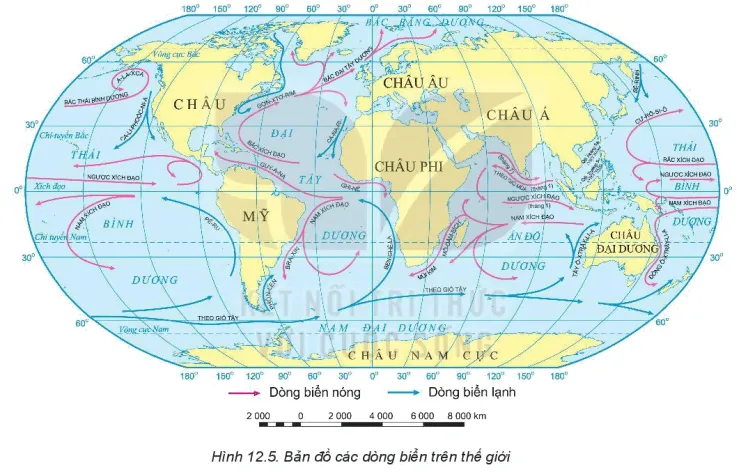 Dựa vào thông tin trong mục c, hình 12.5, hãy Trình bày chuyển động của các dòng biển trong đại dương Bai 12 Nuoc Bien Va Dai Duong 131898