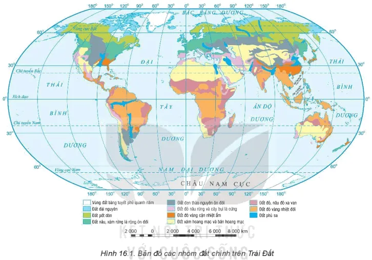 Dựa vào hình 16.1 hãy Kể tên các nhóm đất chính trên Trái Đất Bai 16 Thuc Hanh Tim Hieu Su Phan Bo Dat Va Sinh Vat Tren Trai Dat 131914