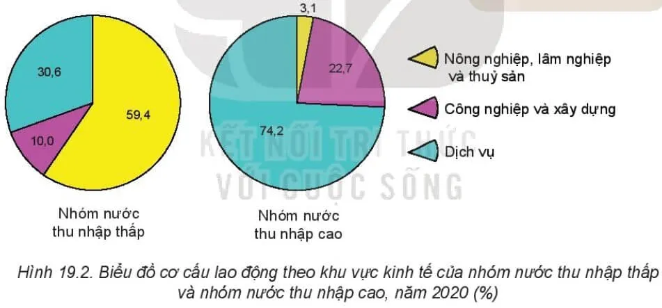 Dựa vào hình 19.2 và thông tin trong mục b, hãy trình bày cơ cấu dân số Bai 19 Quy Mo Dan So Gia Tang Dan So Va Co Cau Dan So The Gioi 132629