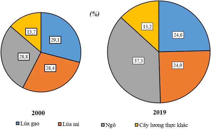 Cho bảng số liệu Tính cơ cấu sản lượng lương thực thế giới năm 2000 và năm 2019 Bai 27 Thuc Hanh Ve Va Nhan Xet Bieu Do Ve San Luong Luong Thuc Cua The Gioi 133090