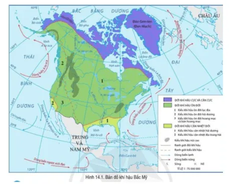Đọc thông tin và quan sát hình 14.1, hãy trình bày sự phân hóa khí hậu ở Bắc Mỹ Cau Hoi Trang 129 Dia Li Lop 7 Canh Dieu 1 141200