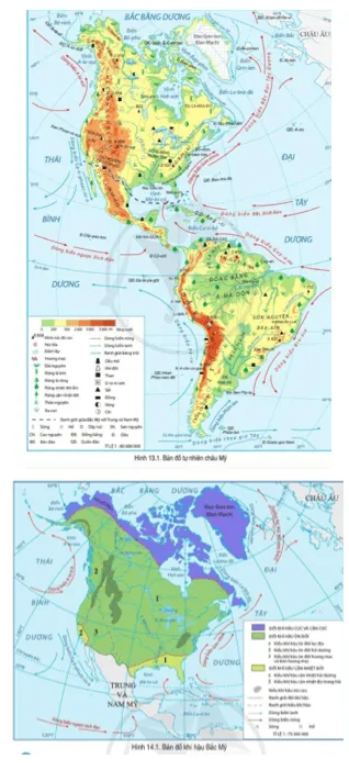 Đọc thông tin và quan sát hình 13.1, 14.1, hãy cho biết Bắc Mỹ có những đới thiên nhiên nào Cau Hoi Trang 130 Dia Li Lop 7 Canh Dieu 141202