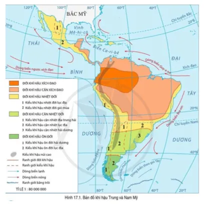 Đọc thông tin và quan sát hình 17.1, trình bày sự phân hóa của tự nhiên Trung và Nam Mỹ  Cau Hoi Trang 137 Dia Li Lop 7 Canh Dieu 141210