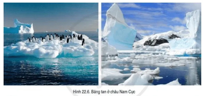 Đọc thông tin và quan sát hình 22.6, mô tả kịch bản về sự thay đổi thiên nhiên châu Nam Cực Cau Hoi Trang 153 Dia Li Lop 7 Canh Dieu 141232