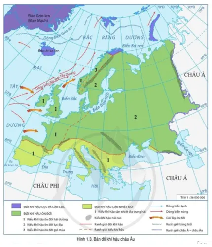 Đọc thông tin và quan sát hình 1.3 hãy phân tích sự phân hóa khí hậu ở Châu Âu Cau Hoi Trang 89 Dia Li Lop 7 Canh Dieu 1