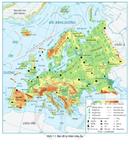 Đọc thông tin và quan sát hình 1.1 hãy phân tích đặc điểm các đới thiên nhiên của châu Âu Cau Hoi Trang 91 Dia Li Lop 7 Canh Dieu