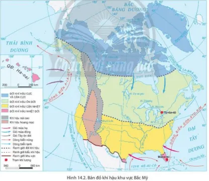 Dựa vào hình 14.2 và thông tin trong bài Trình bày sự phân hóa khí hậu Bắc Mỹ theo chiều bắc – nam Cau Hoi Trang 145 Dia Li Lop 7 Chan Troi 1 140696