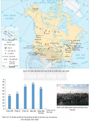 Dựa vào hình 14.4, 14.5, 14.6 và thông tin trong bài, phân tích vấn đề đô thị hóa ở Bắc Mỹ Cau Hoi Trang 147 Dia Li Lop 7 Chan Troi 140698