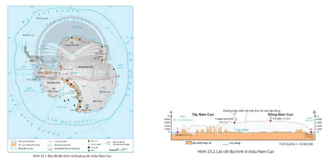 Dựa vào hình 23.1, hình 23.2, và thông tin trong bài, cho biết đặc điểm nổi bật của địa hình bề mặt châu Nam Cực Cau Hoi Trang 177 Dia Li Lop 7 Chan Troi 1 140796