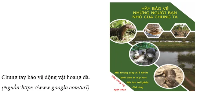 Vẽ tranh hoặc viết một đoạn văn thể hiện thông điệp kêu gọi bảo vệ động vật hoang dã ở châu Phi Van Dung 2 Trang 138 Dia Li Lop 7 Chan Troi 140713