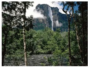 Dựa vào kiến thức đã học, sưu tầm những hình ảnh nổi bật về rừng nhiệt đới ở Nam Mỹ Van Dung 2 Trang 156 Dia Li Lop 7 Chan Troi 140755