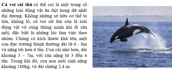 Đặc điểm nào về tự nhiên của châu Nam Cực làm em ấn tượng nhất Van Dung 3 Trang 180 Dia Li Lop 7 Chan Troi 140800