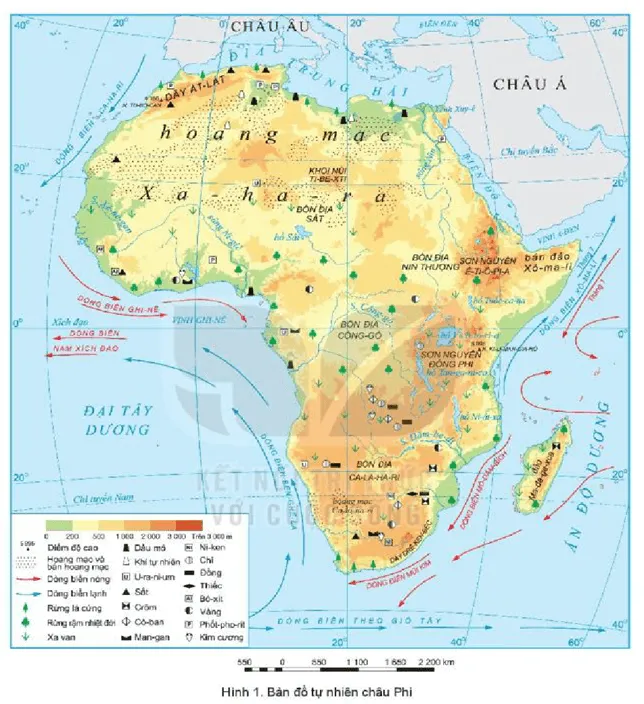 Dựa vào thông tin trong mục 1 và hình 1, hãy cho biết: Châu Phi tiếp giáp với các biển Cau Hoi Trang 128 Dia Li Lop 7 Ket Noi 125642