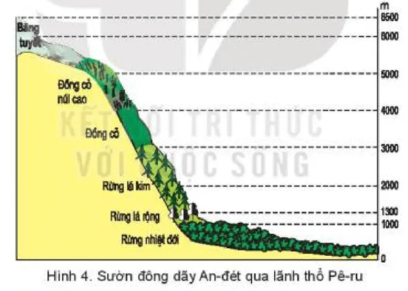 Dựa vào thông tin và quan sát hình 4 trong mục 3, hãy: Kể tên các đai thực vật Cau Hoi Trang 151 Dia Li Lop 7 Ket Noi 1 126284