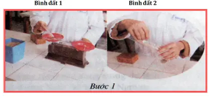 Lý thuyết: Thực hành: Xác định độ chua của đất | Lý thuyết Công nghệ 10 đầy đủ nhất Ly Thuyet Thuc Hanh Xac Dinh Do Chua Cua Dat