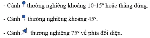 Giải bài tập công nghệ 6 Bai 14 Thuc Hanh Cam Hoa 13