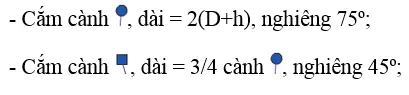 Giải bài tập công nghệ 6 Bai 14 Thuc Hanh Cam Hoa 18