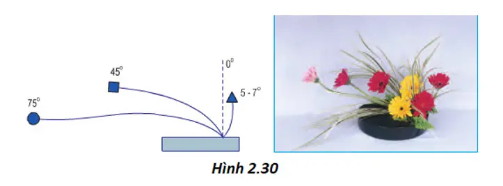 Giải bài tập công nghệ 6 Bai 14 Thuc Hanh Cam Hoa 7