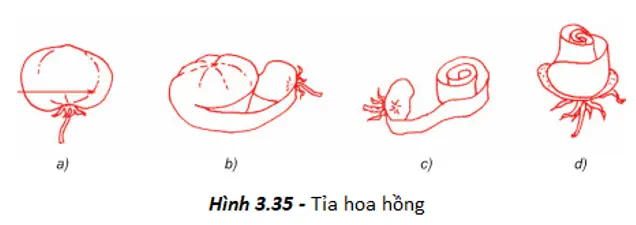 Giải bài tập công nghệ 6 Bai 24 Thuc Hanh Tia Hoa Trang Tri Mon An 8