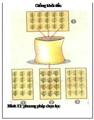 Giải bài tập Công nghệ 7 | Giải Công nghệ 7 Cau 2 Trang 25 Cong Nghe 7