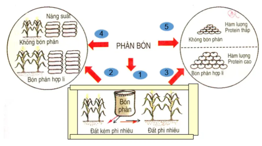 Giải bài tập Công nghệ 7 | Giải Công nghệ 7 Tra Loi Cau Hoi Cong Nghe 7 Bai 7 Trang 17