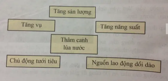 Để học tốt Địa Lý 7 | Giải bài tập Địa Lý 7 Bai 2 Trang 28 Sgk Dia Li 7