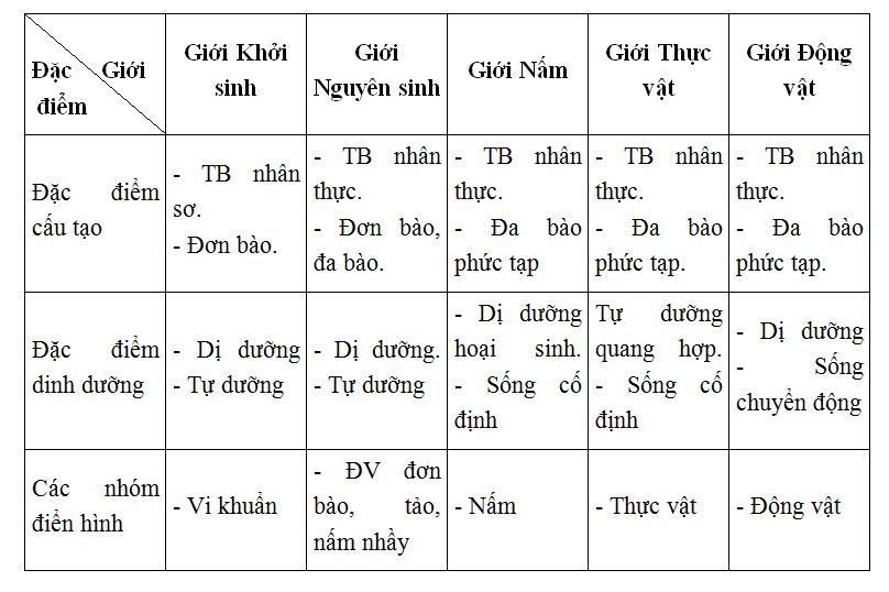 Trả lời câu hỏi Sinh 10 nâng cao Bài 2 trang 10 | Giải bài tập Sinh học lớp 10 nâng cao hay nhất Tra Loi Cau Hoi Sinh 10 Nang Cao Bai 2 Trang 10