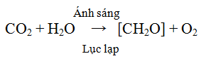 Trả lời câu hỏi Sinh 10 nâng cao Bài 26 trang 87 | Giải bài tập Sinh học lớp 10 nâng cao hay nhất Tra Loi Cau Hoi Sinh 10 Nang Cao Bai 26 Trang 87 2